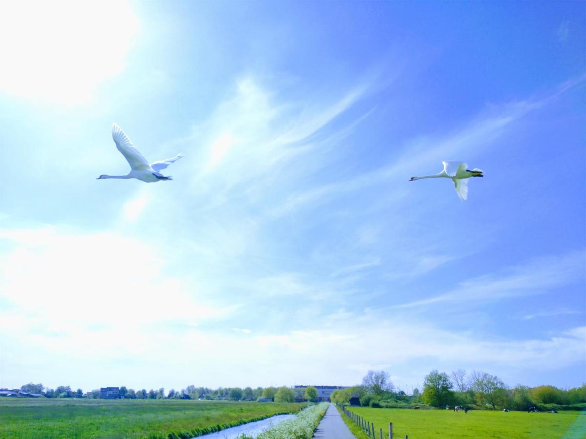 B&Bslapenopeeneiland Kaag Exteriör bild