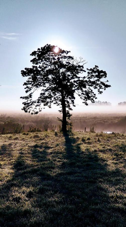 B&Bslapenopeeneiland Kaag Exteriör bild